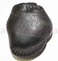 Shaligram 10739 50gm